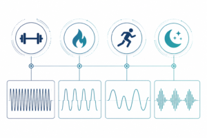 what is ems training