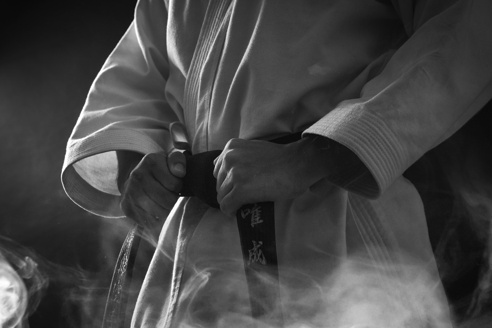 ems for martial artists and combat athletes