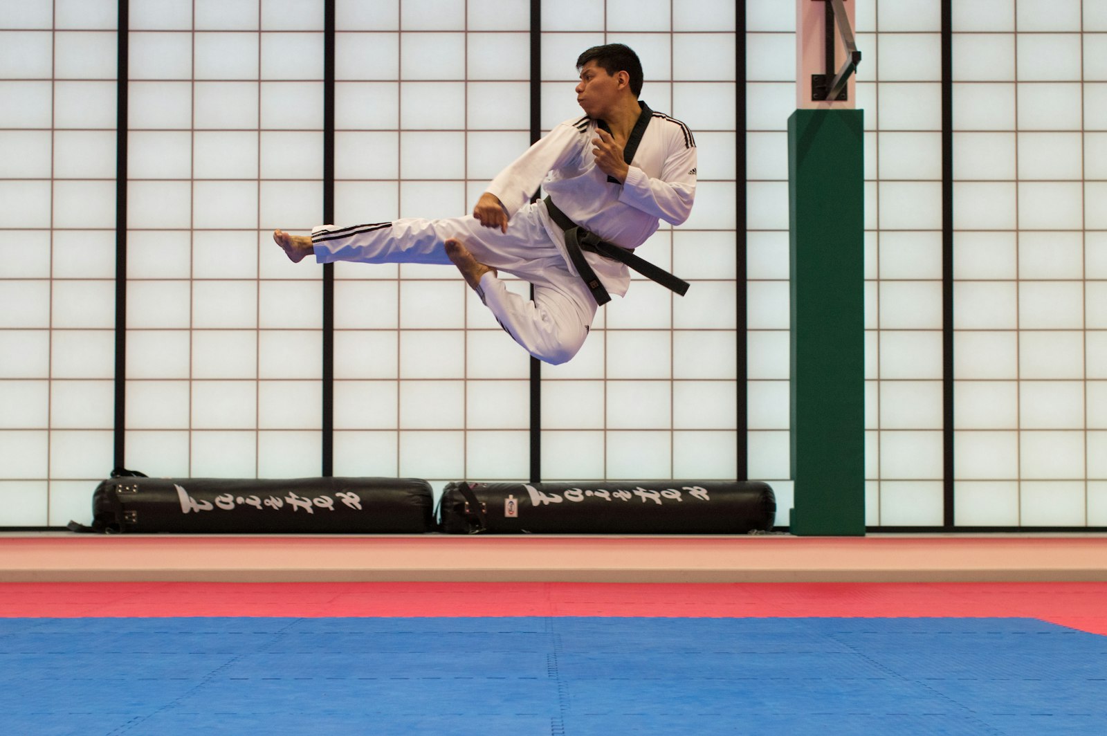 ems for martial artists and combat athletes