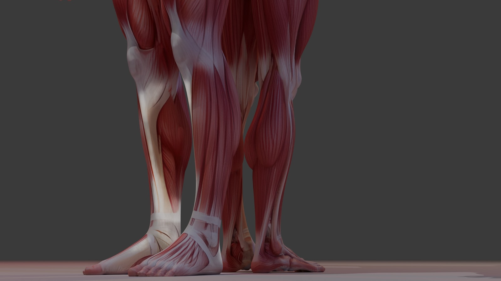 ems for calf muscle training and circulation support