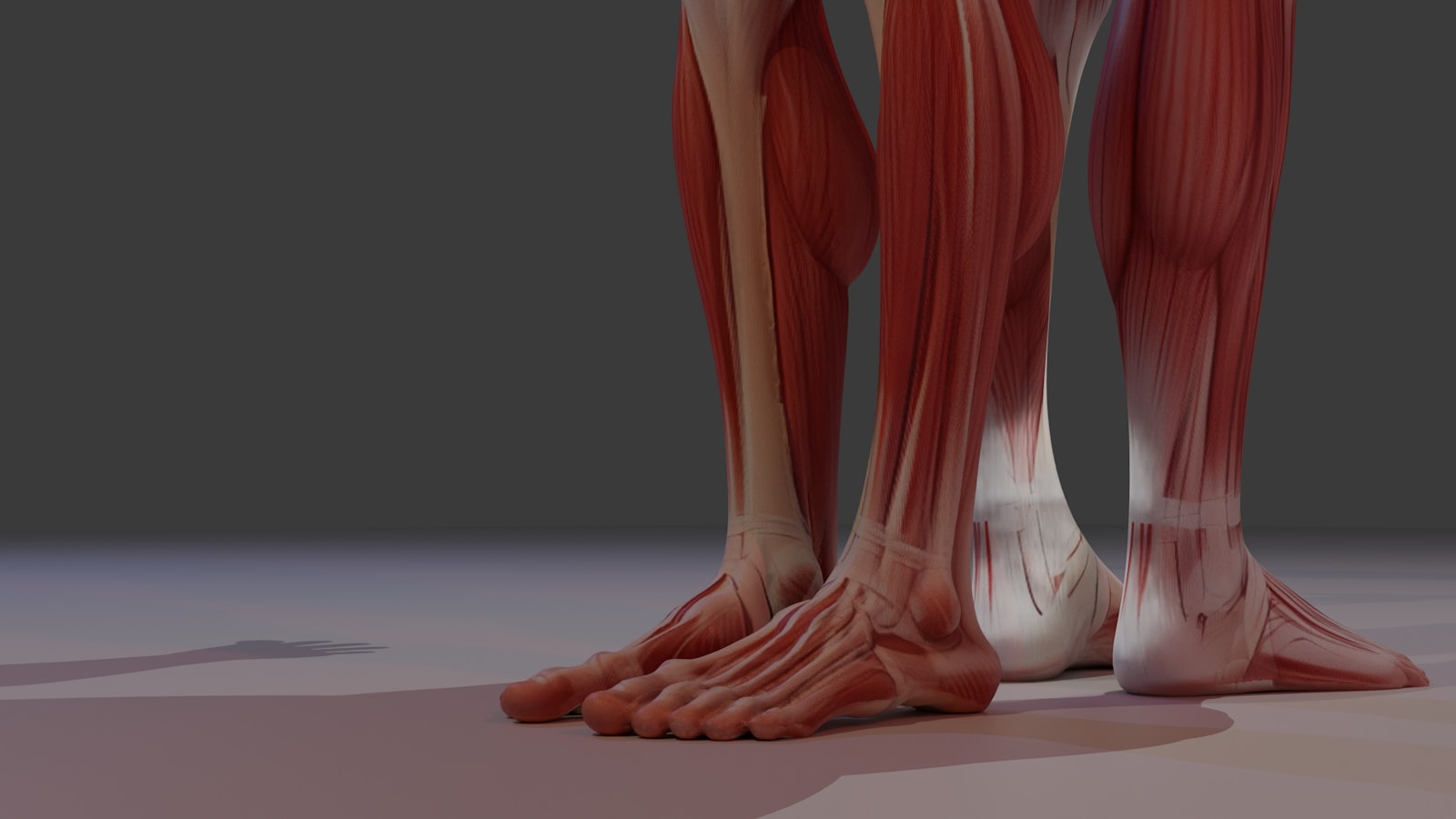 ems for calf muscle training and circulation support