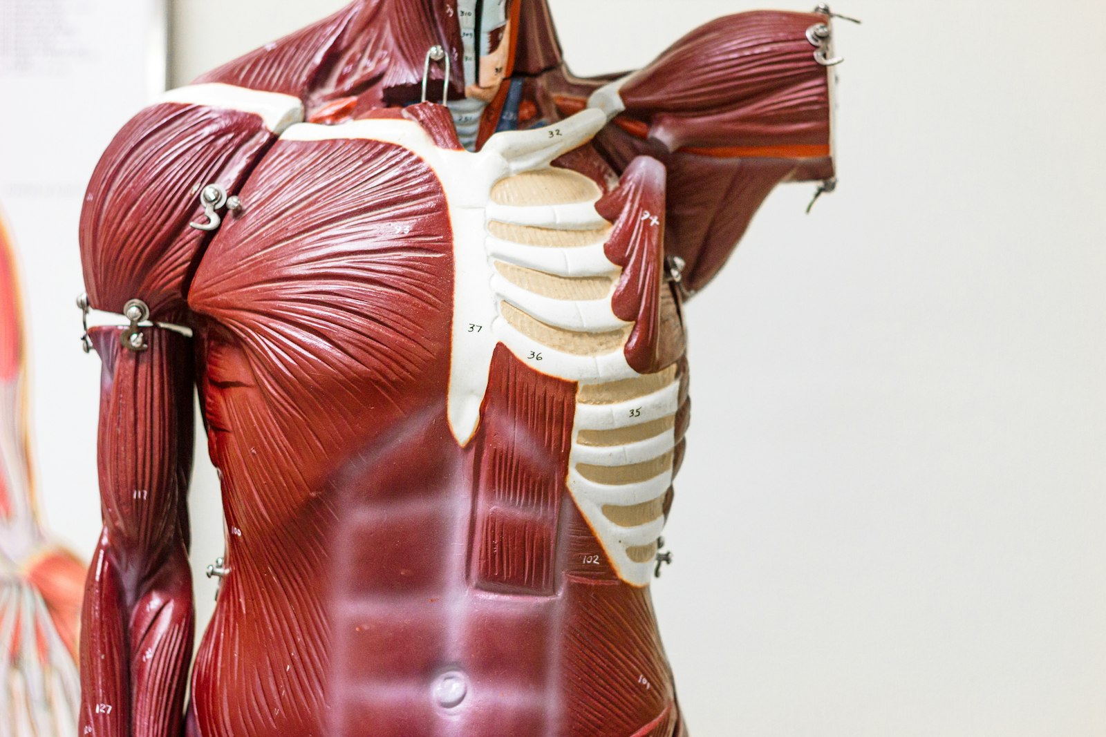 ems suit simultaneous muscle activation