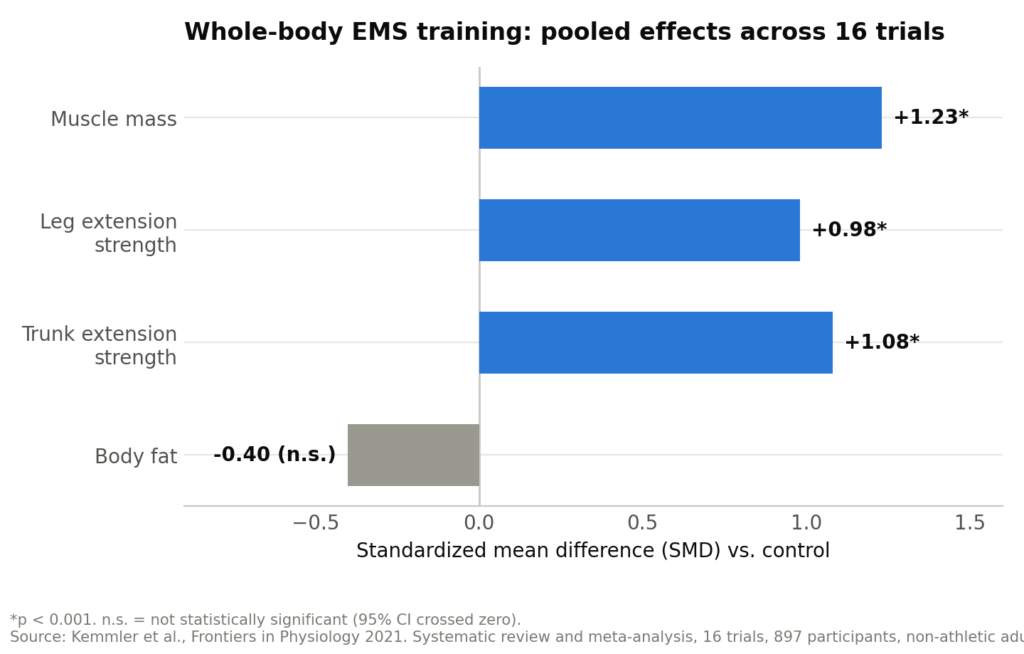 Whole-body ems and motor units.